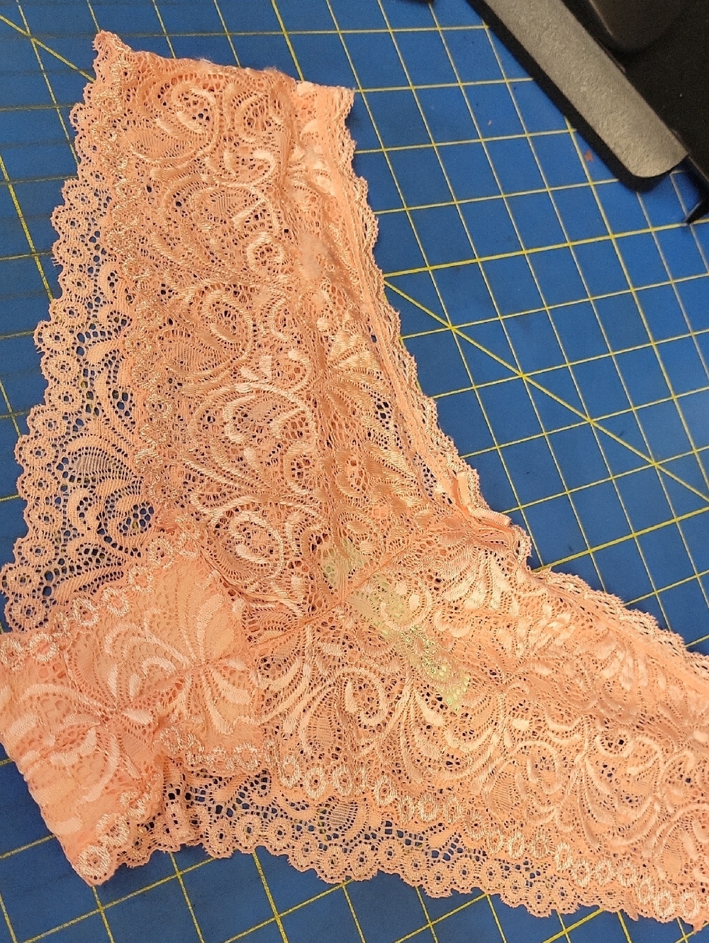 Honeydew Peach Lacey Medium Bikini Briefs New
